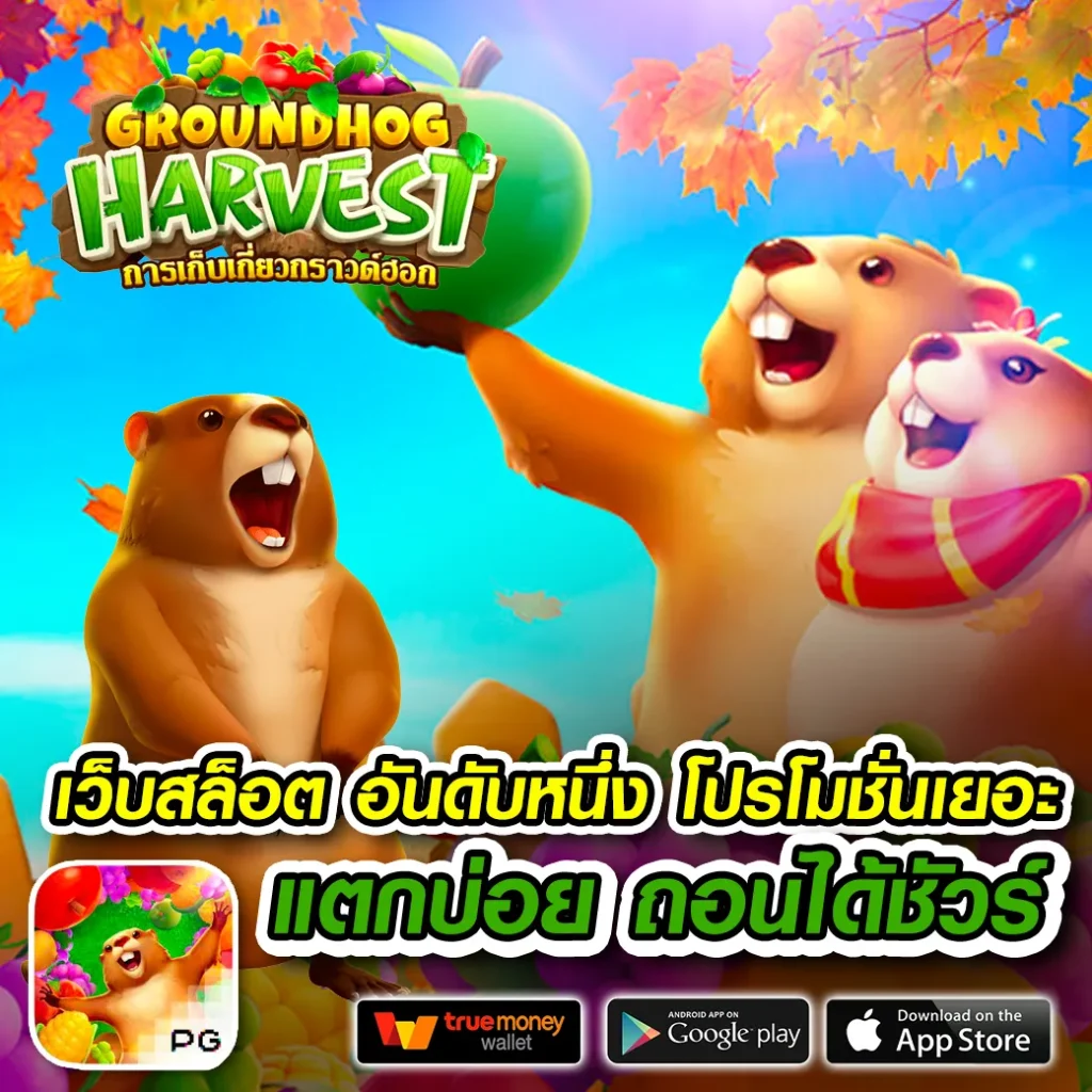 ro-ger มาแรง